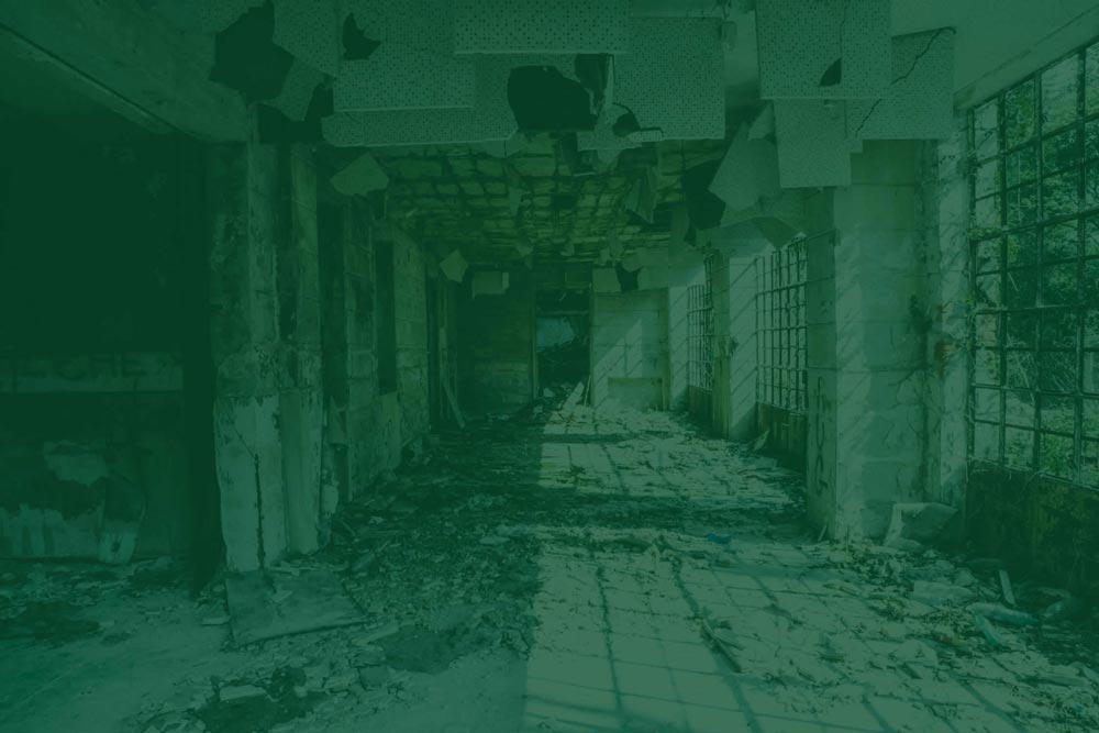 Corridoio di un edificio abbandonato colonizzato dai volatili
