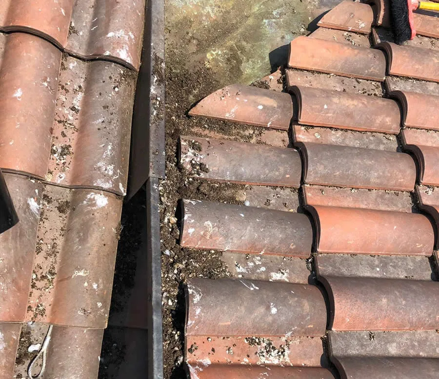 Copertura invasa dal guano di piccioni prima della bonifica