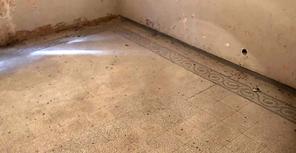Locale pulito e sanificato dopo la bonifica del guano