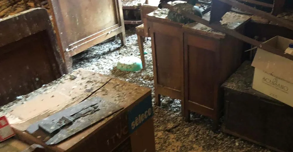 Locale con accumulo di guano prima dell’intervento