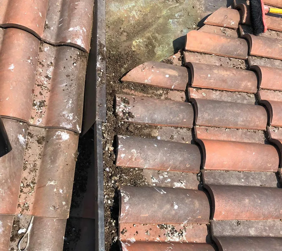 Dissuasori per piccioni installati su una copertura con tracce di guano